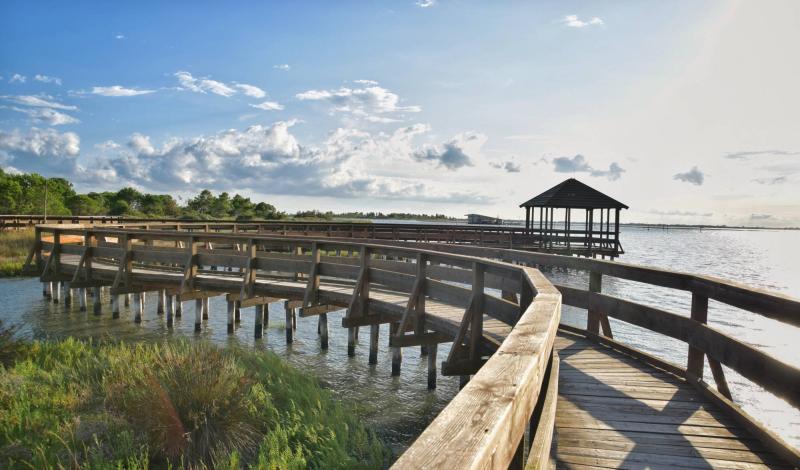 Take a virtual journey through the biodiversity of the Po Delta Park!